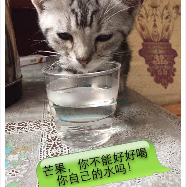 如何考高中毕业证